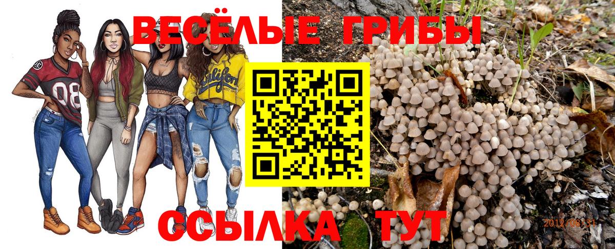 Галлюциногенные грибы MAGIC MUSHROOMS  Вход с VPN  Октябрьский 